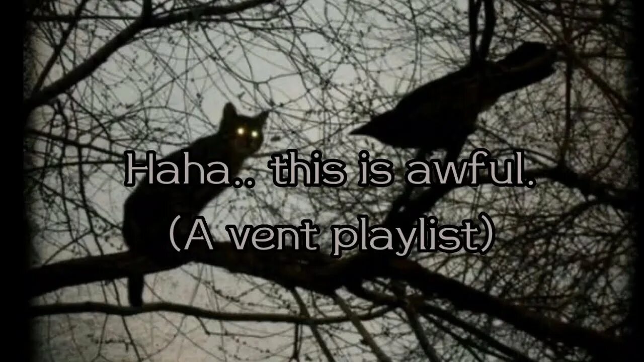 Кот ворон фото Haha.. this is awful. (a VENT playlist) !READ WARNINGS AND DISCLAIMERS IN DESCRI