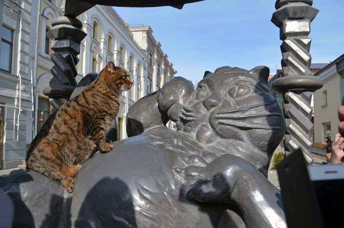 Кот восточная ул 11а фото Почему коты? Про один из главных сувениров Казани Мир бегуна Дзен