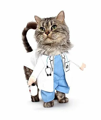 Кот врач фото WHENOW Pet Dog/Cat Puppy Cosplay Costume Cute Coat Doctor XL Pet halloween costu
