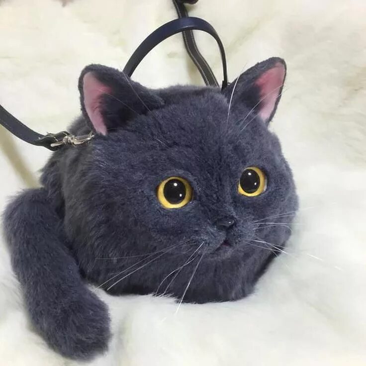 Кота сумочку Котосумки - новый тренд из Японии Кошка сумка, Сумочка, Сумки