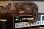 Котэ оганезов рецепты с фото простые Котэ тв сборник песенок