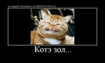Котэ оганезов рецепты с фото простые Котэ песенки мыть