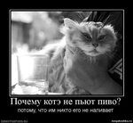 Котэ оганезов рецепты с фото простые Видео сборник песенок котэ