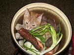 Котэ оганезов рецепты с фото простые Вареный кот