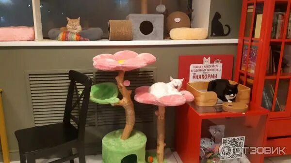 Котеешная 1 вишняковский пер 19 москва фото Отзыв о Котокафе "Котеешная № 1" (Россия, Москва) Милые котейки, отличная концеп