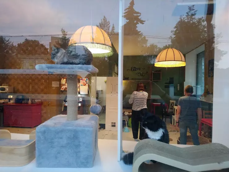 Котеешная no 1 вишняковский пер 19 фото Котеешная № 1 - Котики и Люди в Москве, ул. Новокузнецкая, 20/21-19,строение 5 -