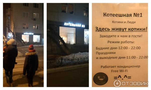 Котеешная no 1 вишняковский пер 19 фото Отзыв о Котокафе "Котеешная № 1" (Россия, Москва) Милые котейки, отличная концеп