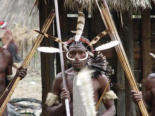 Котенка фото у папуасов Village - Dani Tribe - Warriors Papua new guinea, Warrior, Melanesia