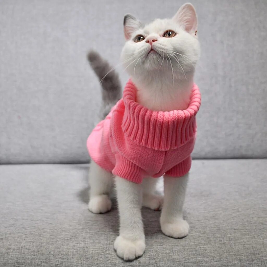 Котенка одежда фото HWL Зимняя одежда для собак, свитер для щенков и кошек, куртка, пальто для мален