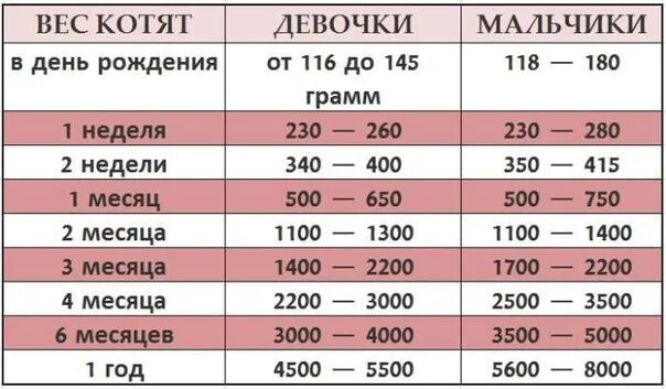 Котенок 2 месяца фото размеры и вес Впоследнее время с интересом отмечаю, как изменяются таблицы веса котят этой пор