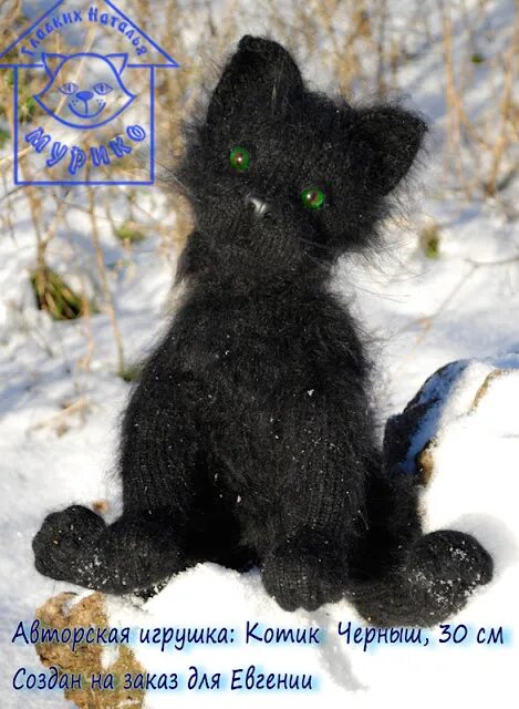 Котенок черныш фото Черныш кот: найдено 86 изображений
