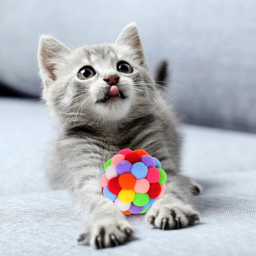 Котенок фото хорошего 4 Pcs Plüsch-Katzenspielzeug Lustiger Katzenball Für Katzenbesitzer Automatisch 