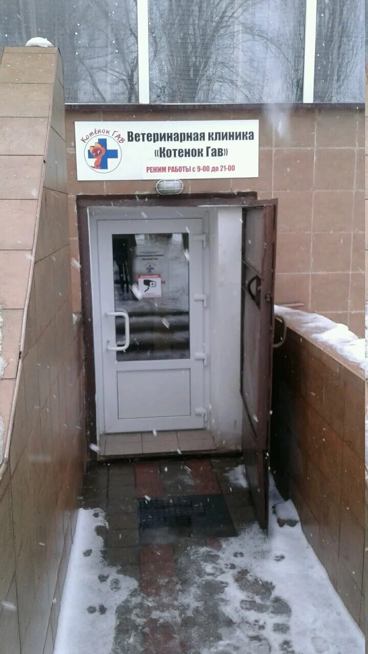 Котенок гав ул губкина 20 белгород фото Панорама: Котёнок Гав, ветеринарная клиника, ул. Губкина, 20, Белгород, Россия -