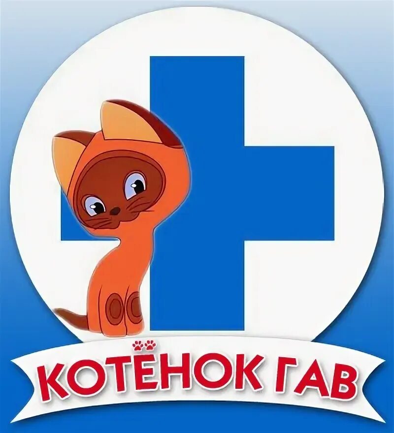 Котенок гав ул губкина 20 белгород фото Котёнок Гав, ветеринарная клиника в Белгороде на улица Губкина, 20 - отзывы, адр