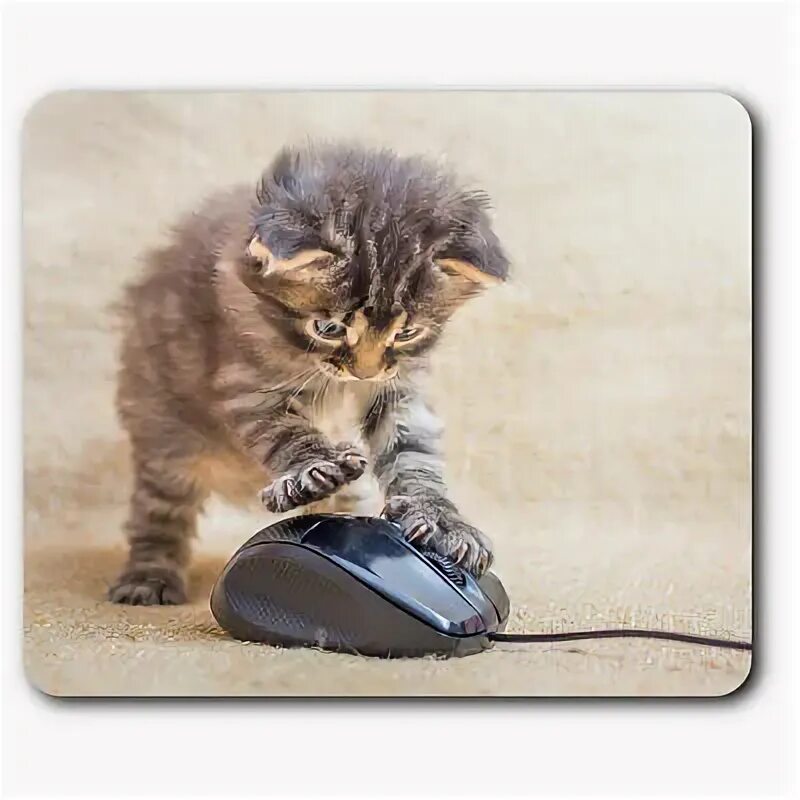Котенок играет фото Computer Mouse Mat - Funny Kitten Mouse Playing Cat Office Gift #14602 eBay