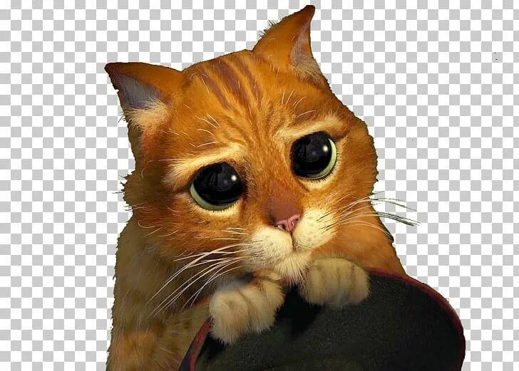 Котенок из шрека с глазами фото Pin on Shrek