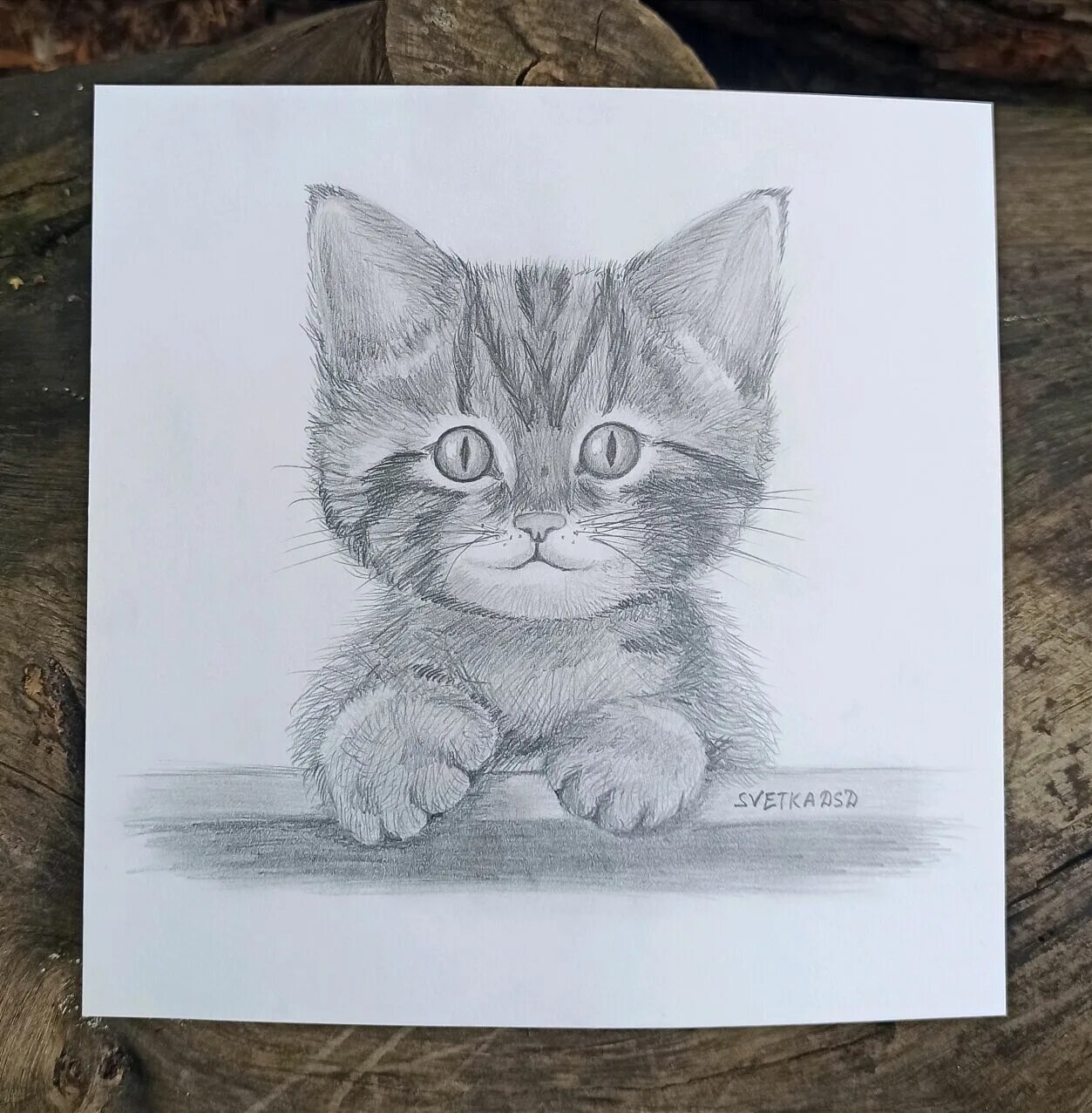 Котенок карандашом фото Доброкот :) Котёнок карандашом в интернет-магазине на Ярмарке Мастеров Картины, 