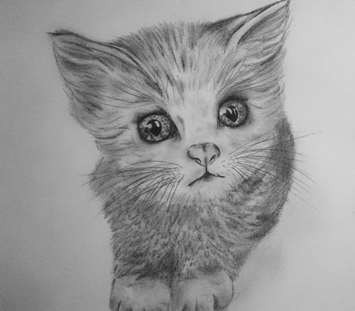 Котенок карандашом фото Drawings & Paintings Flickr
