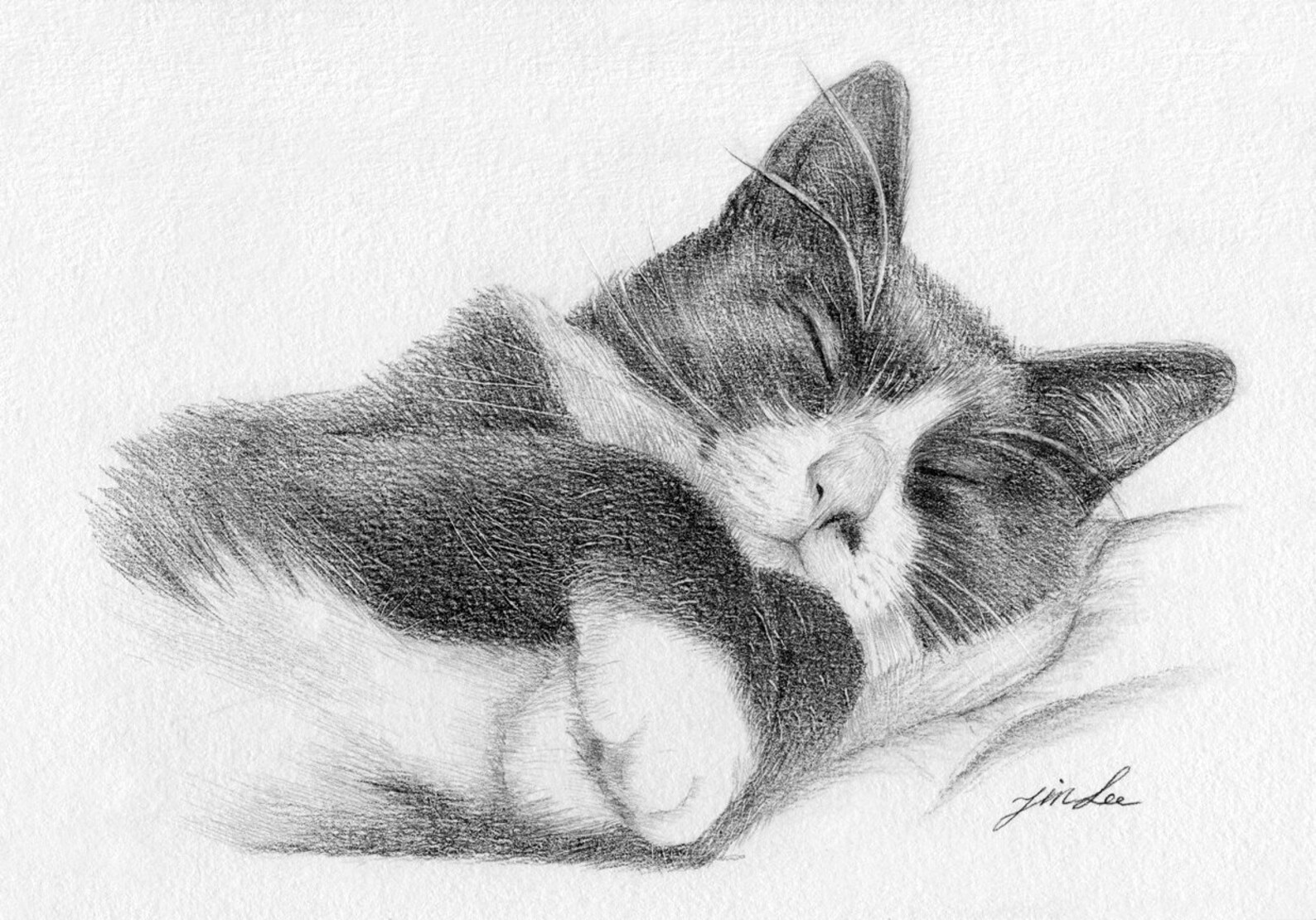 Котенок карандашом фото Custom cat portrait pencil drawing pet drawing pencil Etsy