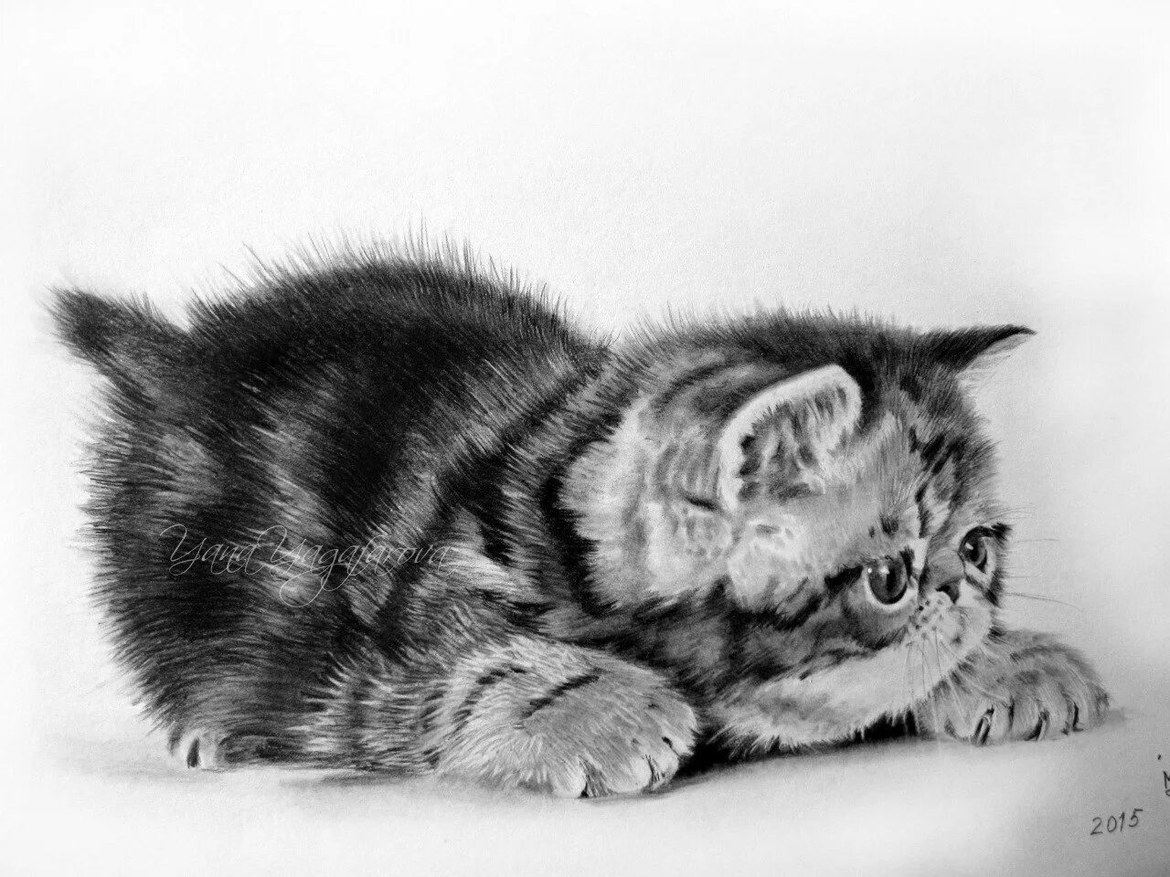 Котенок карандашом фото Котятки, формат А4,карандаш Школа рисования Фотострана Пост № 585959660