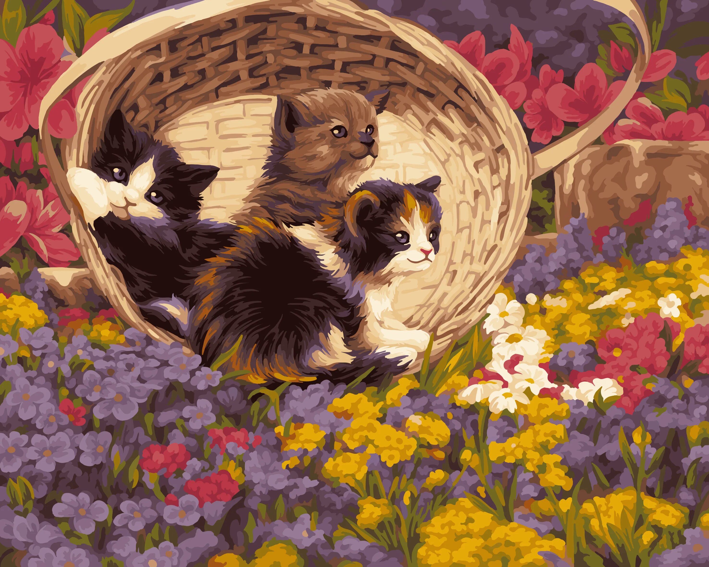 Котенок картина фото Картина по номерам на холсте 40x50 на подрамнике. Живопись. Раскраска. Рисование