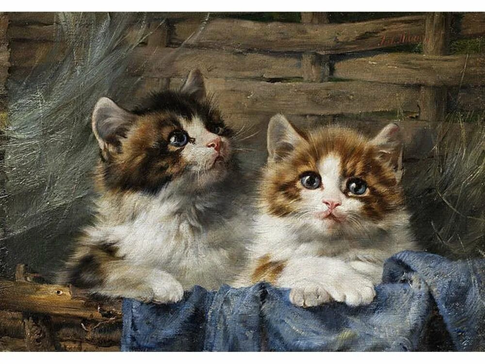 Котенок картина фото Картина по номерам Paintboy Милые котята, 30x40 см - купить в Москве, цены в инт