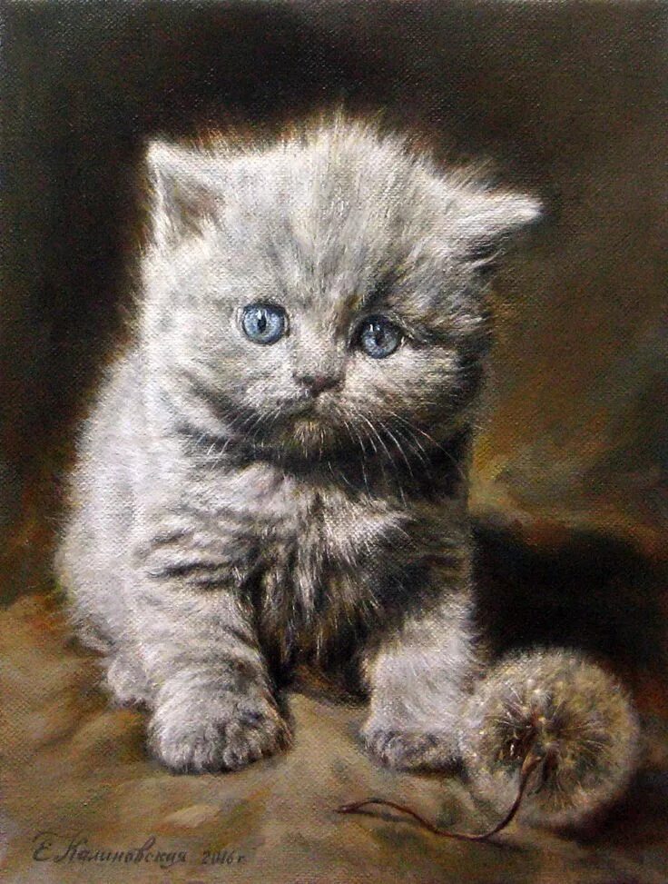 Котенок картина фото Художница Калиновская Екатерина Михайловна. Из жизни кошек и котов.... Обсуждени