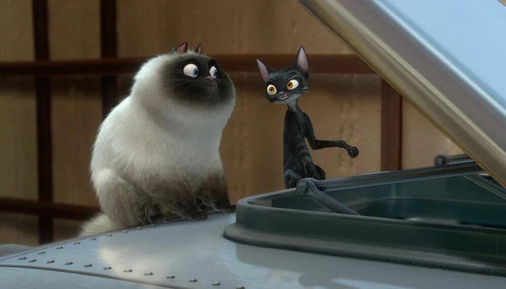 Котенок коте фото из мультика Dr. Calico's Cats Disney Wiki Fandom