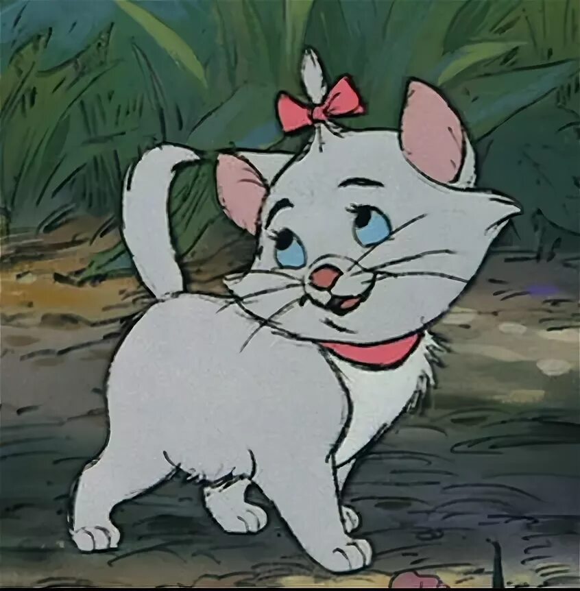 Котенок коте фото из мультика The Wonder Cats! Pachirapong Wiki Fandom