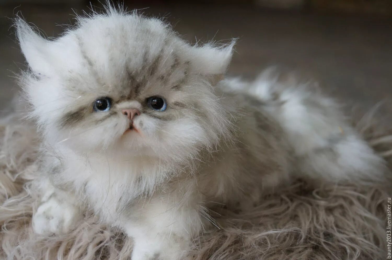Котенок персидской кошки фото Белый котёнок, игрушка, кошка. в интернет-магазине на Ярмарке Мастеров Куклы и п