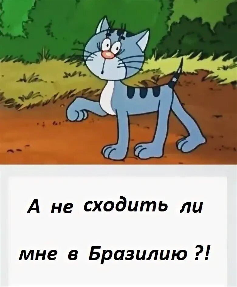 Котенок с улицы лизюкова фото из мультика Воронежский пенсионер рванул в Бразилию на ЧМ - ЯПлакалъ