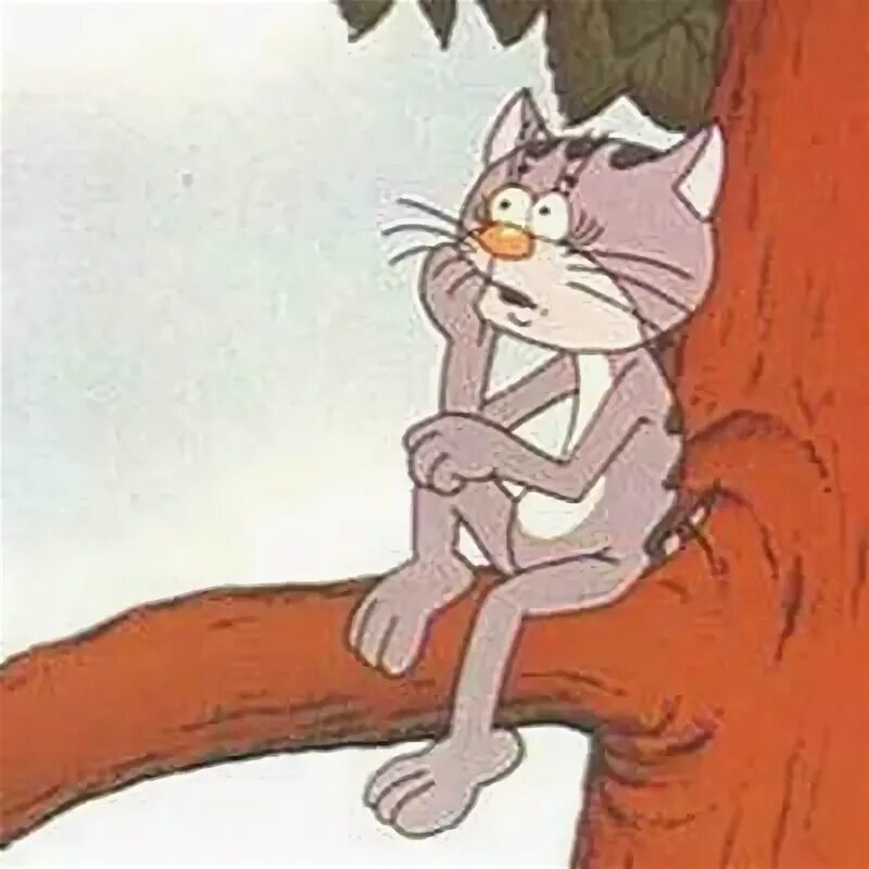 Котенок с улицы лизюкова фото из мультика Как звали кота с лизюкова