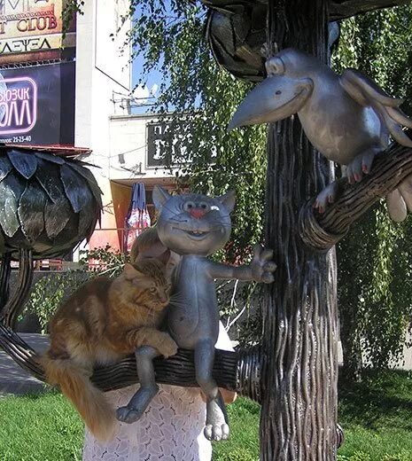 Котенок с улицы лизюкова в воронеже фото Галерея - выставка, Воронеж,7-8.07.12 - Питомник мейн кунов "RusFairyTail"