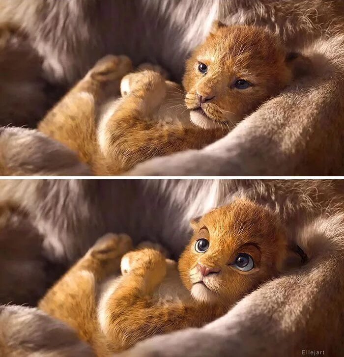 Котенок симба фото Artists Give The Lion King’s Characters An Alternative Look And It Goes Viral (1