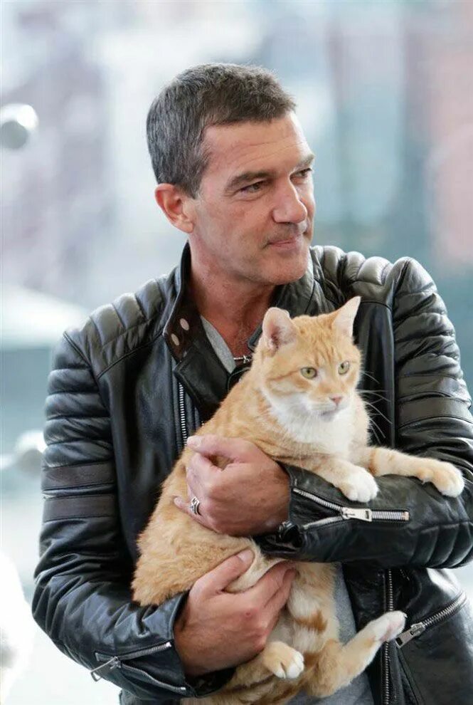 Котейка актеры и роли фото Антонио Cat people, Cats, Animals