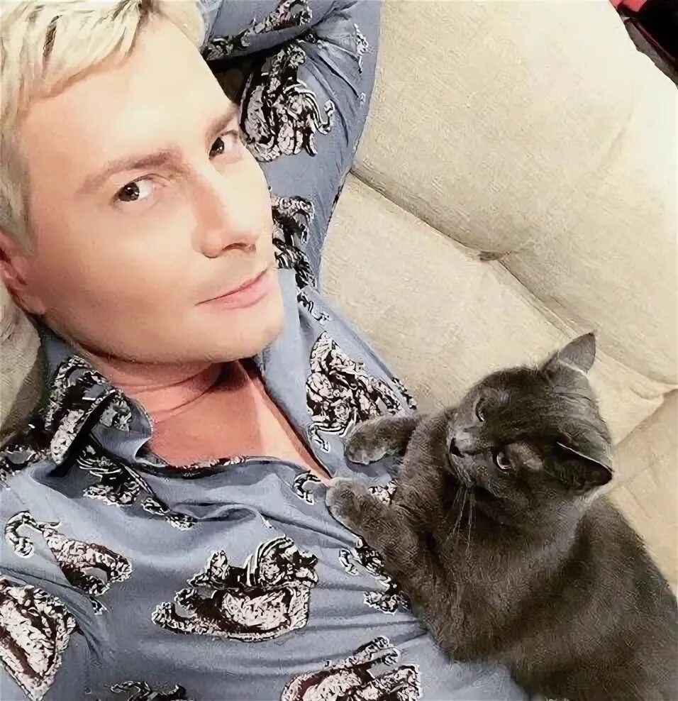 Котик баскова николая фото Pin auf nikolai baskov , николай басков