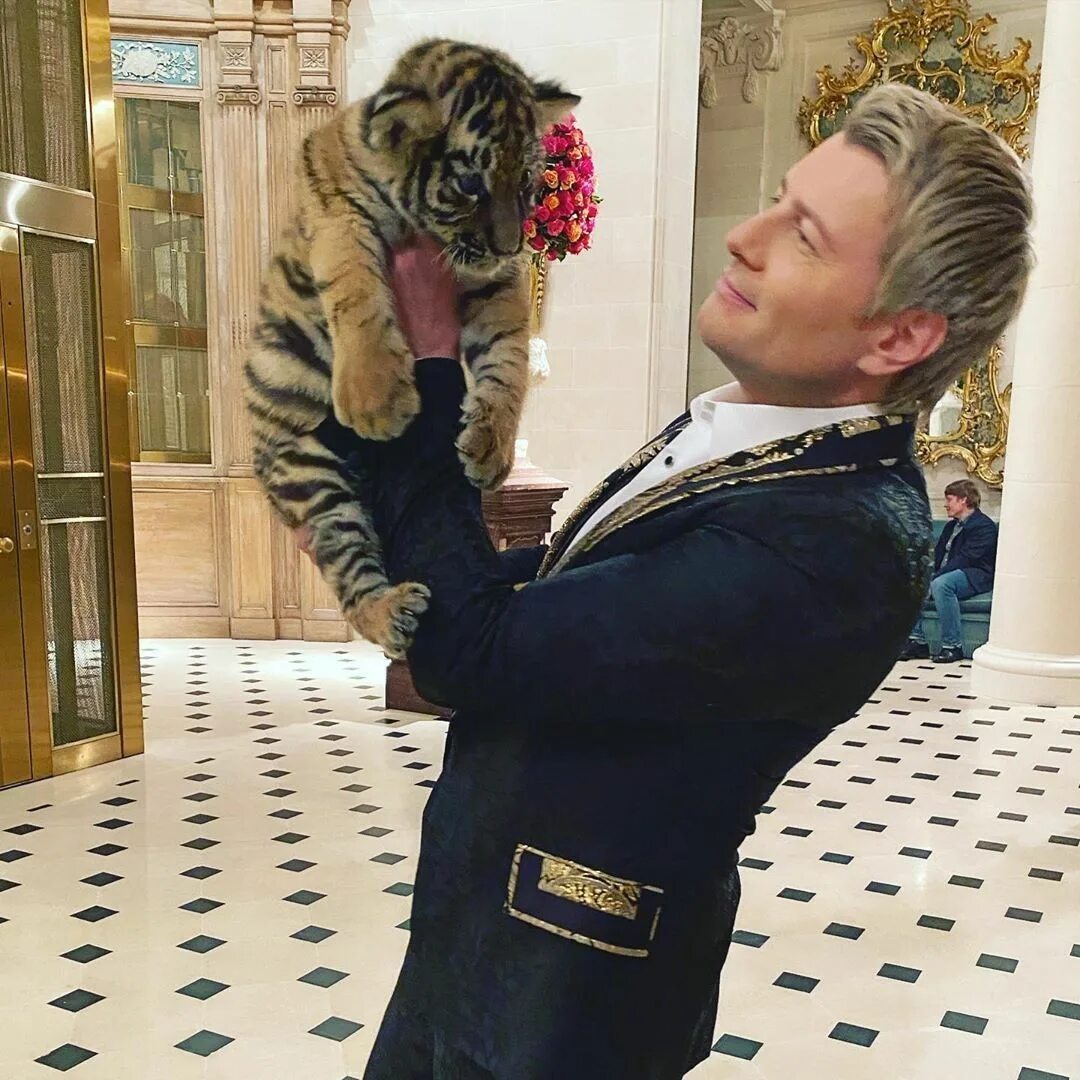 Котик баскова николая фото Басков Николай