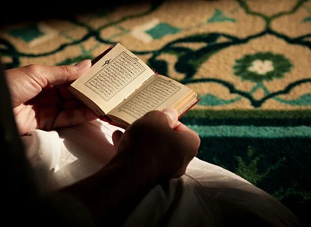 Котик читает коран фото Более 980 работ на тему "Young Woman Reading Koran": стоковые фото, картинки и и