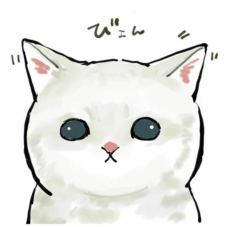 Котик фото милый рисунок Пин от пользователя Bibikyu на доске NYA Милые рисунки, Котята, Рисунки