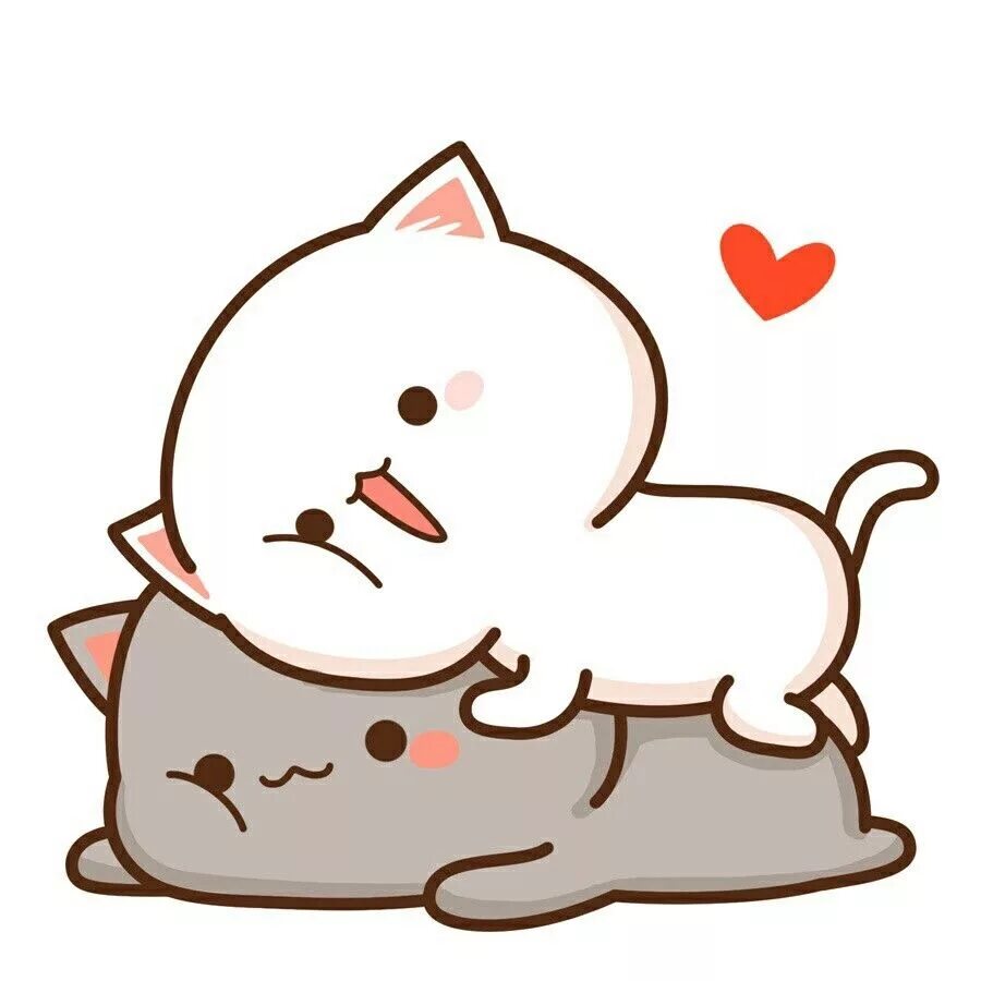 Котик фото милый рисунок https://m.weibo.cn/3540182725/4222565243165047 Mèo kitty, Động vật, Mèo ú pushee