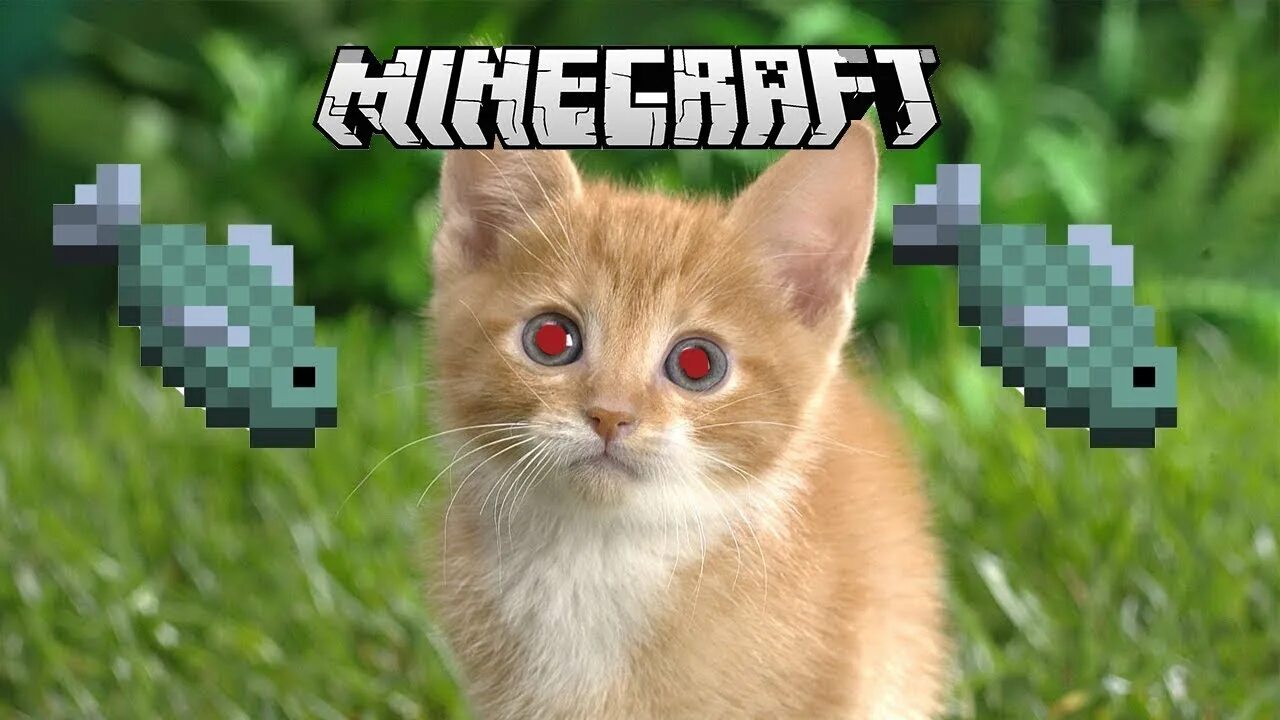 Котик из майнкрафта фото По котовски! II Minecraft #1 - YouTube