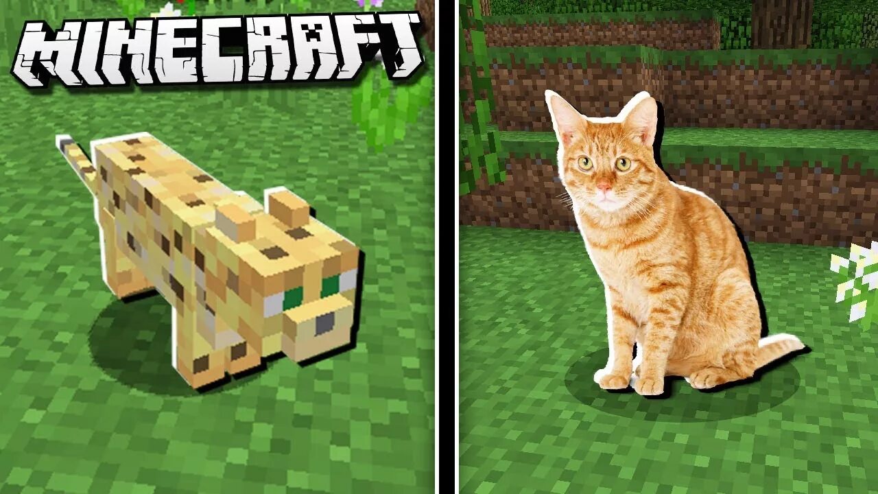 Котик из майнкрафта фото if CATS Were More REALISTIC In Minecraft! - YouTube
