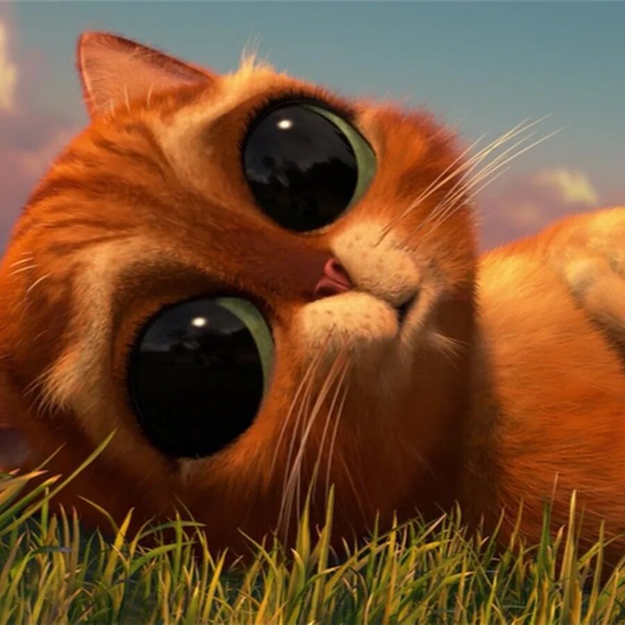 Котик из шрека фото Смеш Няши - YouTube