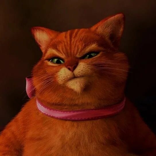 Котик из шрека фото fat cat meme face Gato de sherk, Meme gato, Gato con botas