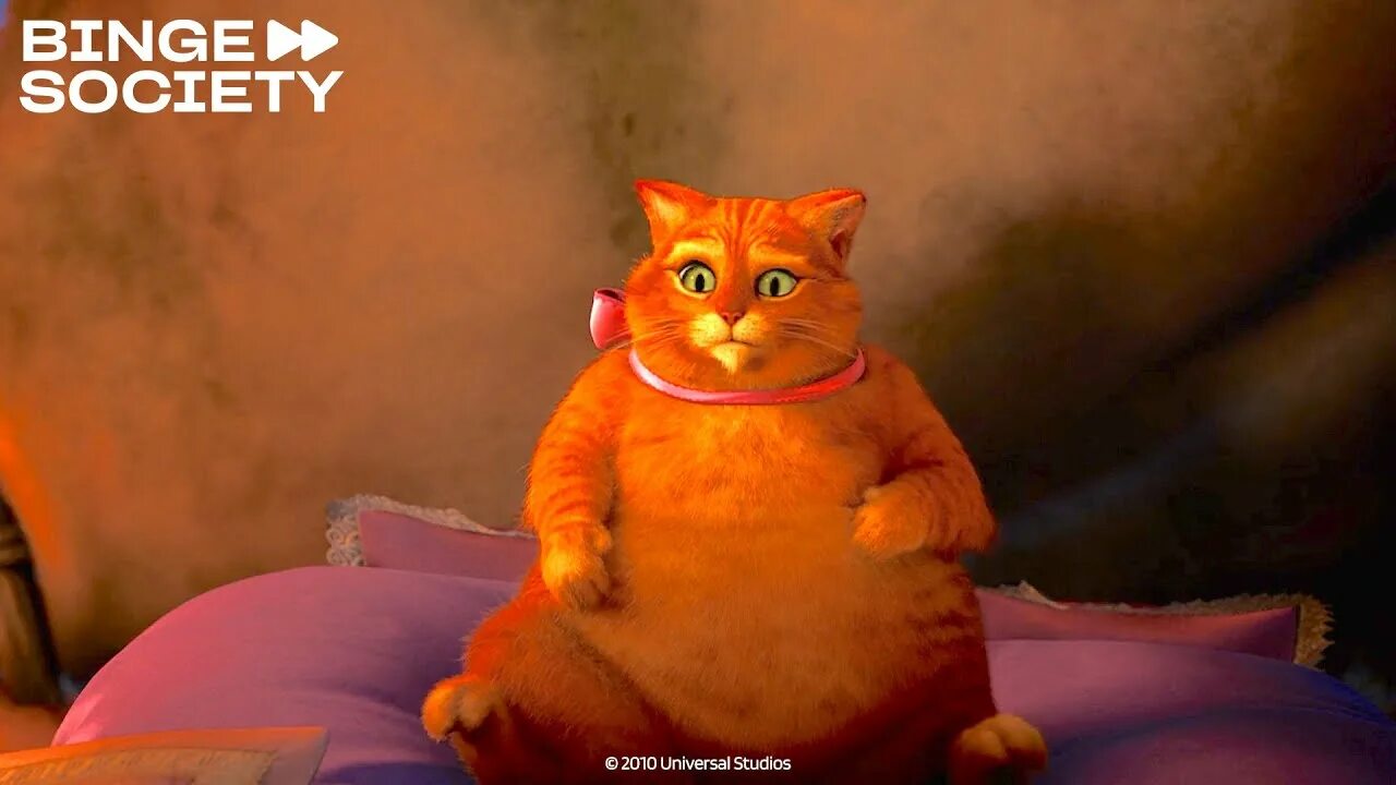 Котик из шрека фото Le Chat Potté A Bien Changé - Shrek 4 : Il Était Une Fin (2010) - YouTube