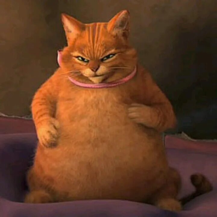 Котик из шрека фото How I look after the holidays...... Cartoon pics, Cute memes, Funny images