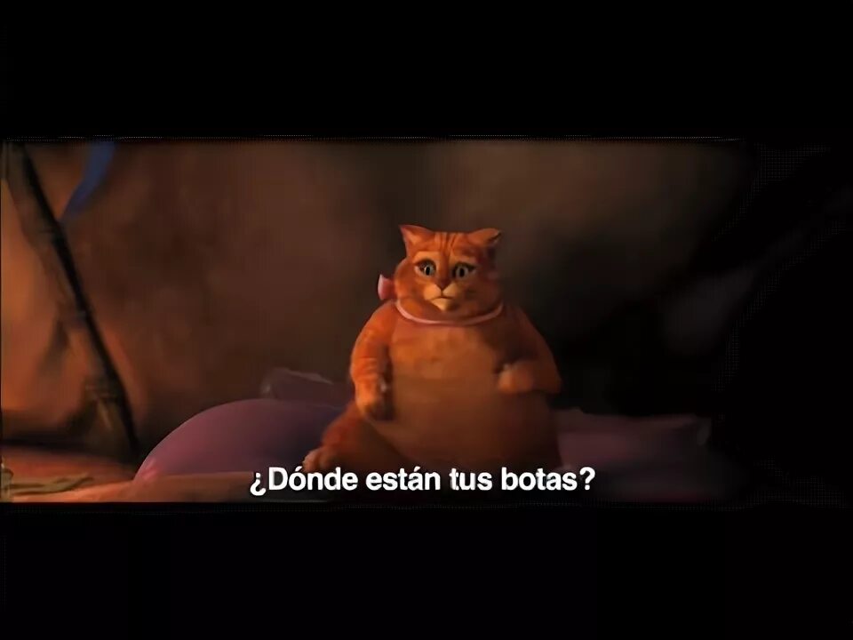 Котик из шрека фото Shrek 4-tráiler con subtitulos - YouTube