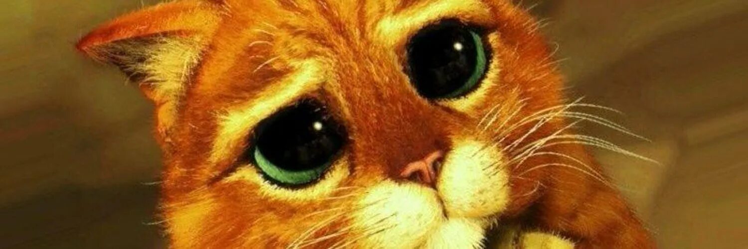 Котик из шрека фото с глазами Кот из шрека с большими глазами: найдено 89 изображений