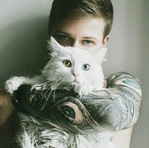 Котик мужчина фото Вот это глазки... Я влюбилась) Animal tattoos, Raining cats and dogs, Animal tat