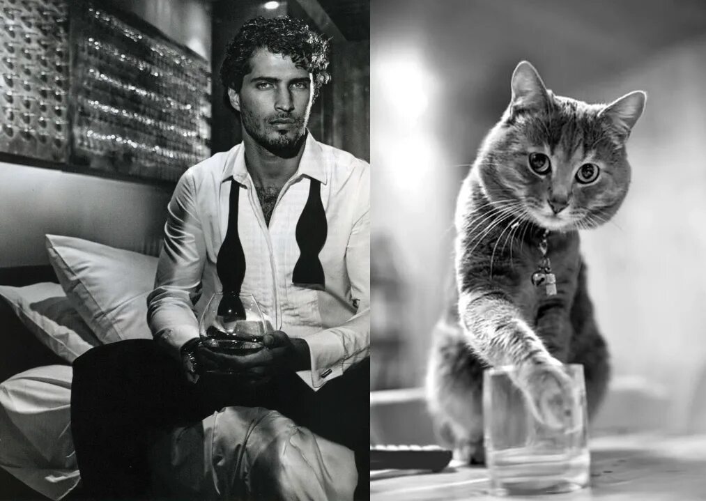 Котик мужчина фото Des Hommes et des Chatons aka "pinup-boys" vs. cats Funny photoshop, Boy cat, Ki